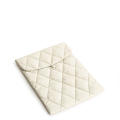 Pumice Stone