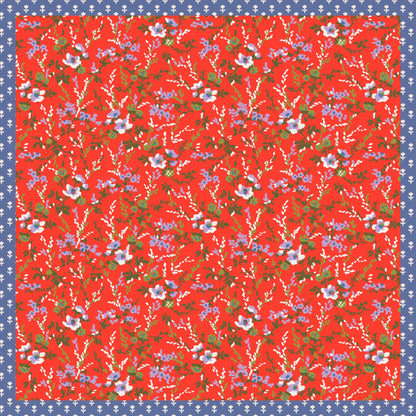 n_sm_23449.jpg