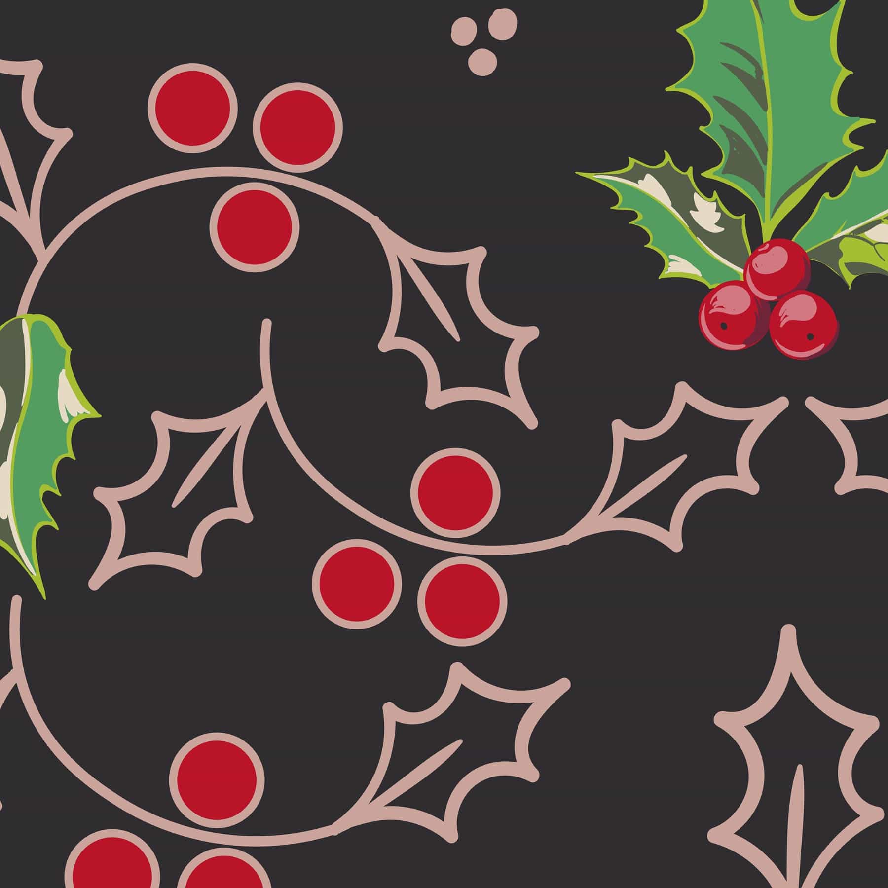 Plush Throw Blanket-Holly-Image 3-Vera Bradley