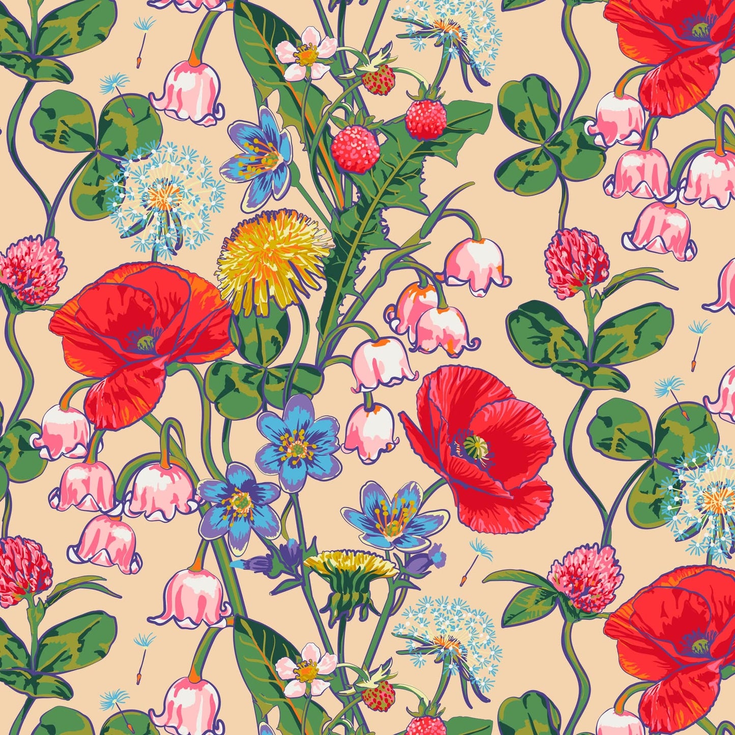 n_sm_23444.jpg