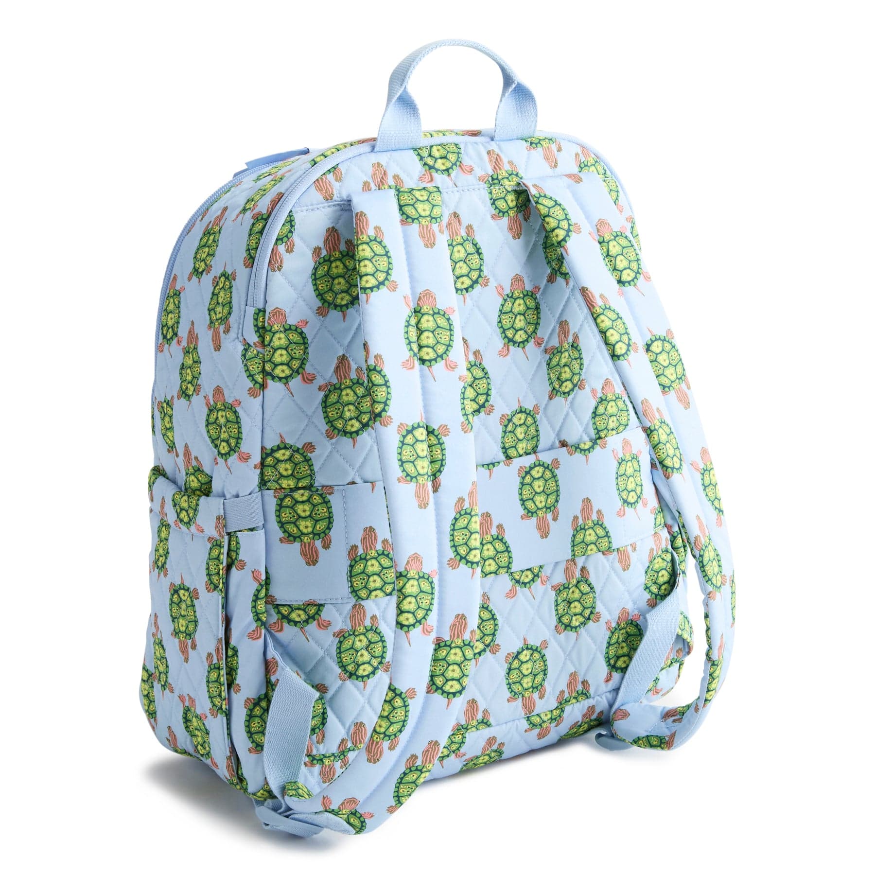 5386923452-V5.jpg